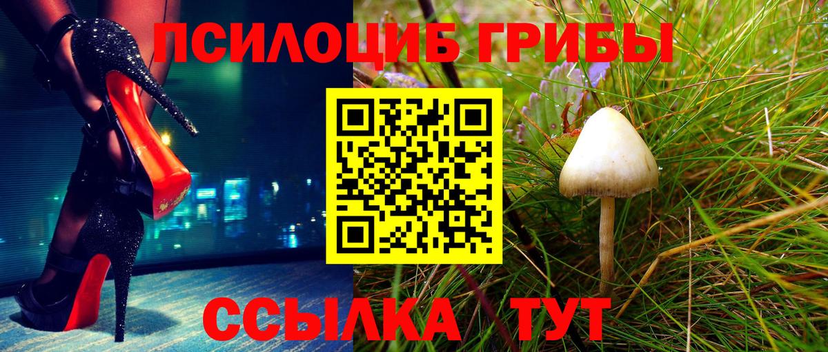 где можно купить наркотик  Псилоцибиновые грибы Psilocybine cubensis  Галлюциногенные грибы мухоморы  Вход с VPN  Богородицк 